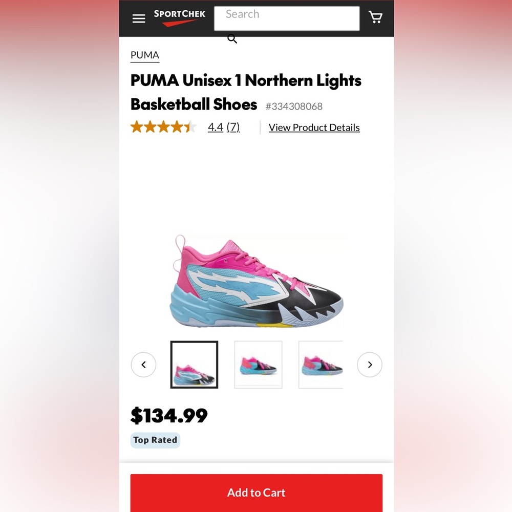 Puma Scoot Zero Northern Lights